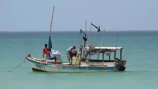 Pese a estar lejos de los mejores números, el volumen de captura permitió buenas ganancias