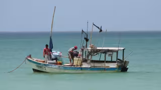 La captura del mero en el puerto y sus comisarías mejora tras el arranque de la temporada