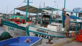 Ante el inicio del período de veda del crustáceo, los hombres de mar reportan buenos resultados