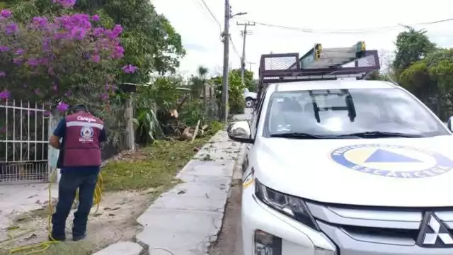 Apagón en Concordia causado por caída de ramas de un árbol de mango