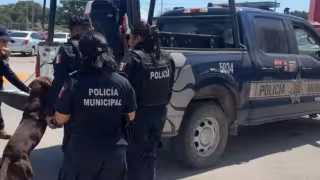 Los detenidos y su perro fueron subidos a la unidad policiaca para su traslado.