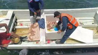 Elementos de la Marina, Conapesca y SSP dan golpes a actividades furtivas en costas de Yucatán