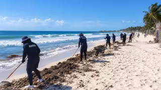 La Marina cuenta con buques sargaceros, embarcaciones menores y más de 13 mil metros de barreras de contención para atender la llegada de la macroalga