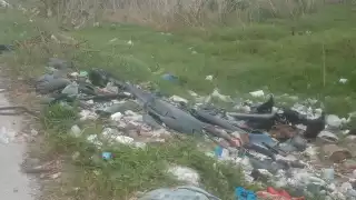 Aunque las autoridades recogen los desechos tirados en la vialidad, al poco tiempo queda convertida otra vez en un muladar