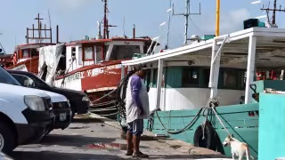 Barcos pulperos Yucalpetén regresan con hasta cinco toneladas