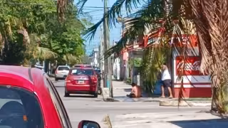 Otro ataque de abejas en Chetumal en menos de 24 horas