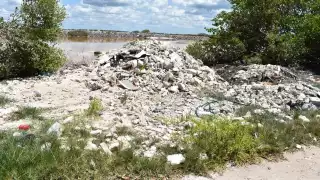 Progreso enfrenta serio problema ambiental por la acumulación de basura en los manglares