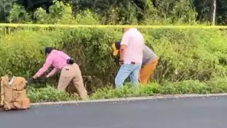 Encuentran un embolsado junto a la carretera federal 307  de Playa del Carmen