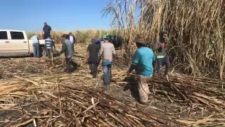 Cañeros continúan trabajos de zafra pese al bloque en el Ingenio azucarero en Chetumal