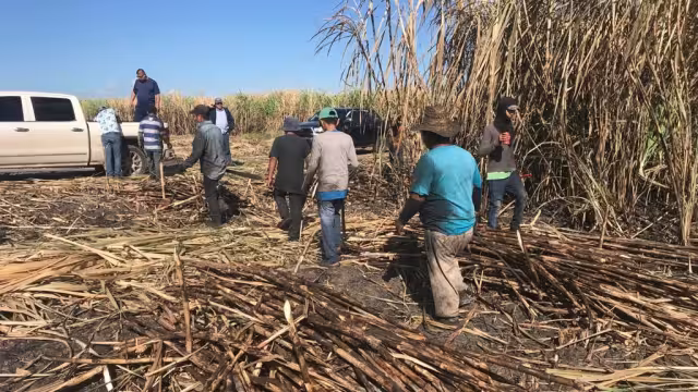 Productores afirmaron que la  salida de azúcar seguirá en pausa hasta tener nuevas indicaciones de las dirigencias nacionales