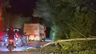 Debido a la rápida respuesta de los elementos de la CNE, el árbol fue retirad para seguir evitando el tráfico