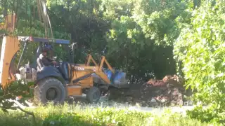 Habitantes de Sisal acusan al comisario municipal de la destrucción de manglar en zona protegida