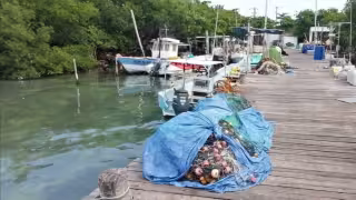 Pescadores de Isla Mujeres advierten dificultad para cumplir metas