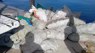 Decomisan más de una tonelada de cacerolitas de mar al Oriente de Yucatán;  empresario sería el responsable de su captura ilegal 