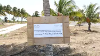 Profepa clausura obras del  proyecto Cayo Coco que pretende construir una privada residencial en la costa de Yucatán  