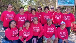 Restauración ecológica en Yucatán tiene rostro de mujer: Las Chelemeras rescatan más de 100 hectáreas de manglar