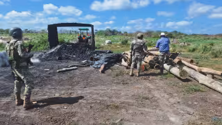 Campeche lidera operativos contra la tala ilegal en la Península de Yucatán: Profepa
