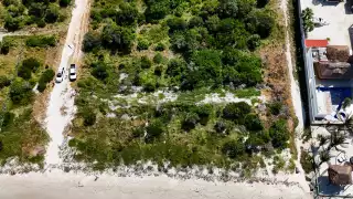 La Profepa resaltó la importancia de preservar los ecosistemas costeros