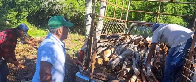 Según amas de casa, 100 pesos de troncos duran varios días.