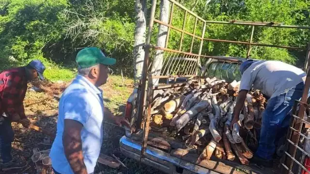 Según amas de casa, 100 pesos de troncos duran varios días.