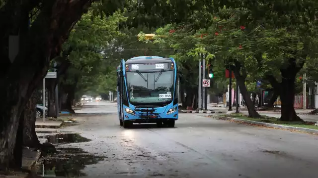 Tres nuevas rutas de Va y Ven se integrarán este viernes 6 de septiembre