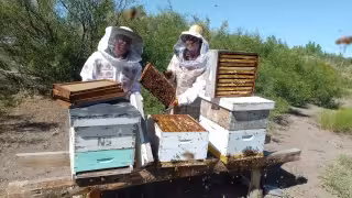 Mujeres apicultoras enfrentan barreras en Campeche