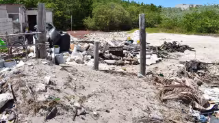 Rellenos ilegales de manglares de Chicxulub avanzan: construyen viviendas y causan desplazamiento de la fauna