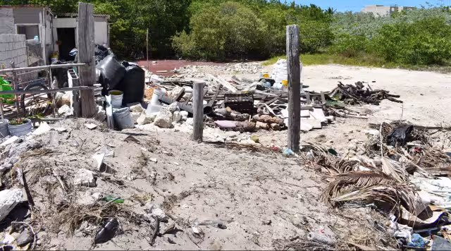 Las invasiones a humedales datan de hace una década y amenazan los ecosistemas marinos