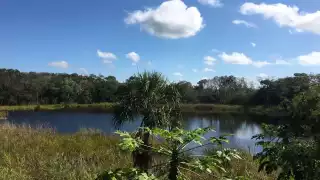 El cenote Yaal-Chaac es conocido por haber sido escenario del presunto avistamiento de un ovni en el año de 2004