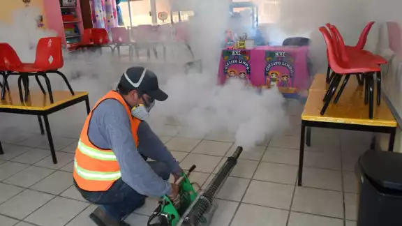 El 56.7% de los casos de dengue en Campeche en 2024 son niños y adolescentes de 0 a 19 años. El 56.7% de los casos de dengue en Campeche en 2024 son niños y adolescentes de 0 a 19 años.
