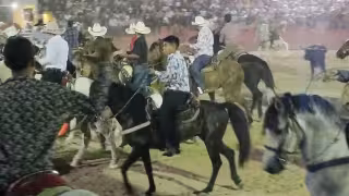 Corridas de toros en Yucatán: interponen amparos contra eventos taurinos en Sotuta, Cansahcab y Ucú