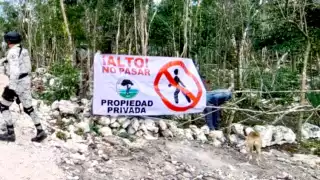 “Paracaidistas” se apoderan de los terrenos en Playa del Carmen; detectan más de 100 hectáreas invadidas