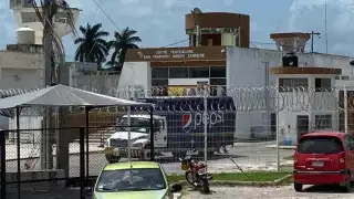  Agresores de animales son un riesgo, aseguran animalistas campechanos   