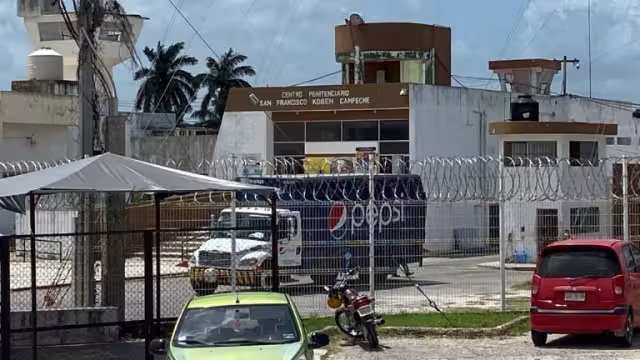 Agresores de animales, un riesgo para la sociedad