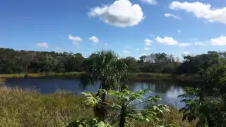 Cómo llegar  a  Yaal-Chaac, el cenote del ovni en Yucatán 