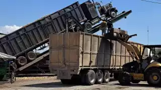 "¿Incertidumbre o esperanza? Cañeros de Champotón arrancan la temporada de zafra 2026