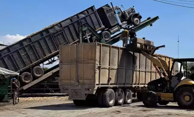 En punto de las 06:00 horas comenzaron a recibir los camiones en la báscula, para luego pasar la vara al proceso de molienda.