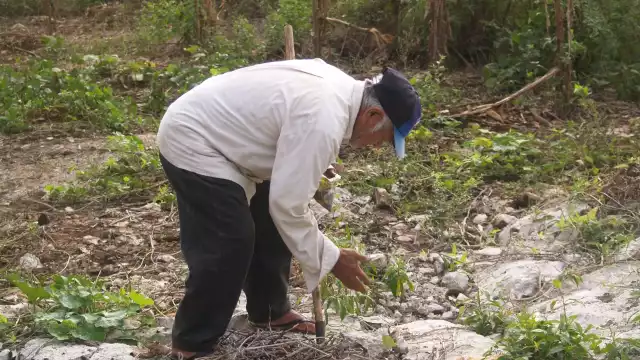 Afirman que los seres de la mitología maya siguen manifestándose en la milpa y algunos predios