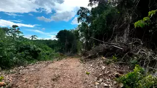 Operativos en tres puntos de la entidad, además en Campeche y Yucatán resultaron en la clausura de 17 predios y el aseguramiento de maquinaria