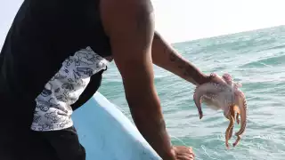 Al menos 40 buzos llegaron a la ínsula para comenzar la temporada