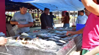 Los expendedores de pescados, mariscos y verduras colocaron sus puestos sobre la banqueta de la avenida Gustavo Díaz Ordaz