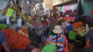 Alimentos ultraprocesados aumentan riesgo de enfermedades de temporada