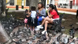 Desinterés por pensiones alimenticias