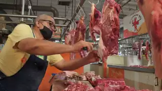 Comerciantes del mercado principal no creen que afecte la presencia de gusano barrenador en Candelaria