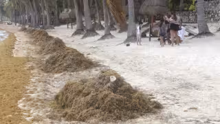 Fenómeno ambiental inevitable: familias disfrutan pese al recale