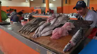 Ante la peor temporada de pulpo en la historia local, le apostaron a esta especie y fue más redituable
