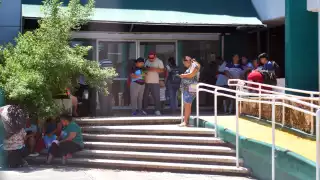 Temen aumentos de casos de sarna