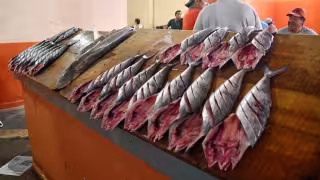 Sector pesquero de Campeche: entre tradición católica y valor nutricional