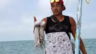 La pesca ilegal y los contaminantes industriales ponen en jaque al Golfo de México