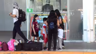 Organismo ubicó a Cancún y Playa del Carmen como principales sitios de explotación